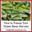 how to freeze your green bean harvest