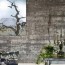 concrete walls how to use them in