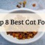 our top choices of the best cat food