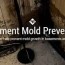 prevent mold in basement