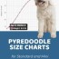pyredoodle size chart for standard and