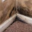 building materials susceptible to mold