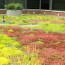 drainage green roof solutions
