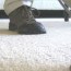 carpet cleaning denver co carpet