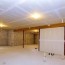 learn what causes that musty basement smell