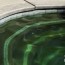 how do i get rid of black algae in my pool