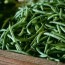 green beans price arad branding