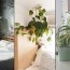 21 best bedroom plants plants for