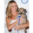 cute dogs join celebrities on the red