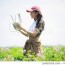 female agriculture drone stock photo