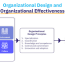 organizational design a complete guide