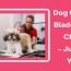 dog clipper blade sizes chart just