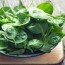 leafy greens thin blood and help oxygen