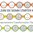 lean six sigma starter kit business