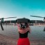 17 best drones for the money 2022
