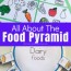 all about the food pyramid
