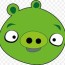 pig vector graphics angry birds epic