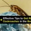 bedroom roach control tips for