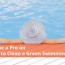 clean a green swimming pool