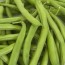 fresho beans french ring 1 kg