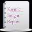 karmic insight report with the karmic