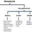 causes of hematuria glomerular vs non
