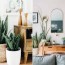 plants in interior design how to make