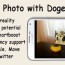 photo with doge android app source
