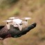 zano is a sky selfie micro drone that
