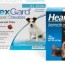 protect your dog with heartgard the