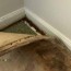 how to remove and clean mold on carpet