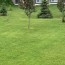 how much does lawn care cost