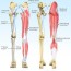 leg pain types treatment causes symptoms