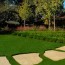 grow a thicker lawn in 5 steps bonick