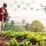 drone technology in crop fertilization