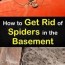 get rid of spiders in the basement