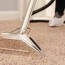 green eco carpet cleaning speltav
