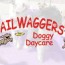boarding tailwaggers doggy daycare