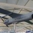 defexpo 2018 highlights unmanned