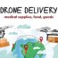 drone delivery poster template
