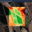 drone imagery in vegetation mapping