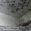 how to remove garage mold in 3 easy