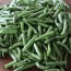 how to freeze green beans southern