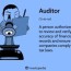 auditor what it is 4 types and