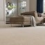 the best carpet best options and
