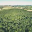 drones forestry england