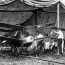 wwii drones how the first uavs took to