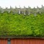 green roof how does it work types