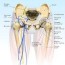 hip pain causes symptoms home