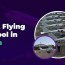 best flying school in india for pilots